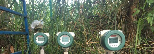 蒸汽草莓视频免费观看，如果食品厂安装正确，这是非常重要的。