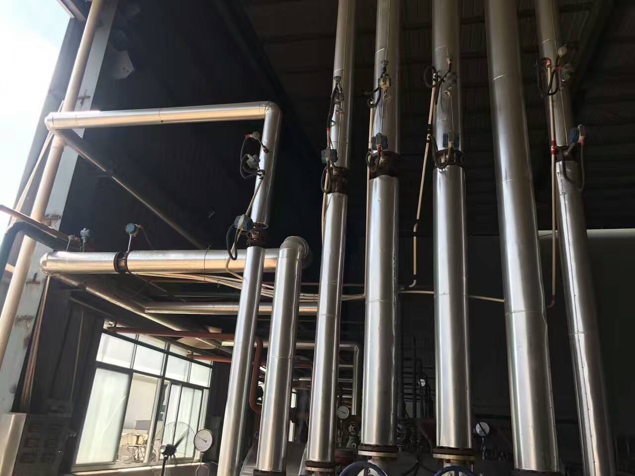 蒸汽草莓视频免费观看是什么